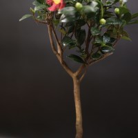 IMG_5813 (2)